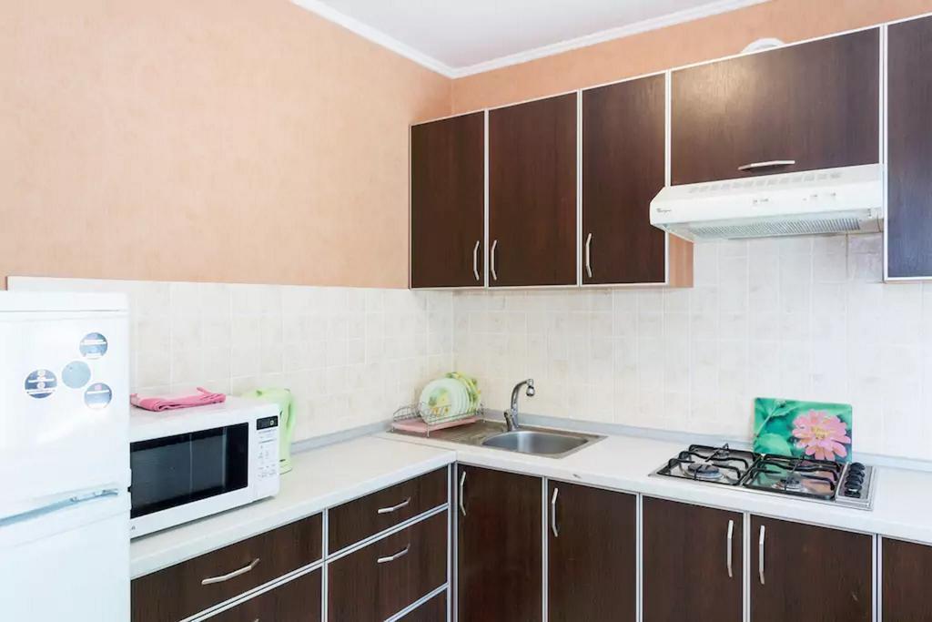Zaporizhia Apartment In Zaporozhye. Antica المظهر الخارجي الصورة