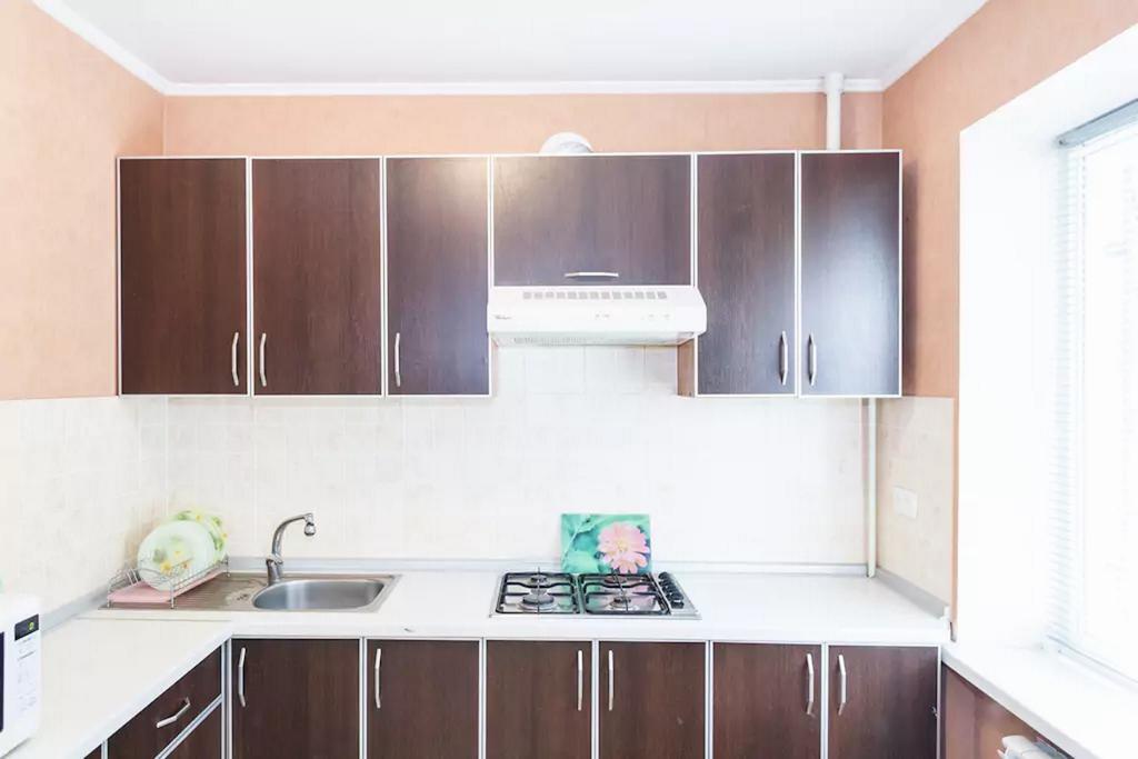 Zaporizhia Apartment In Zaporozhye. Antica المظهر الخارجي الصورة